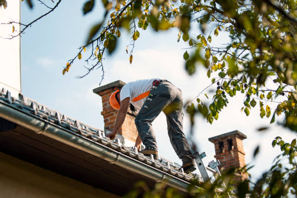 Best Best Roofing Contractors  in Boaz, WV
