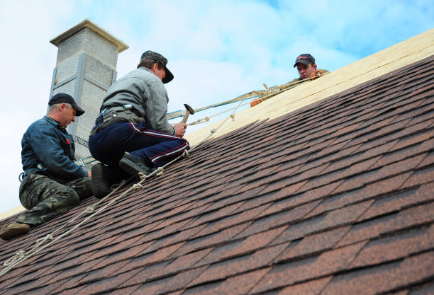 Best Roof Maintenance Services  in Boaz, WV